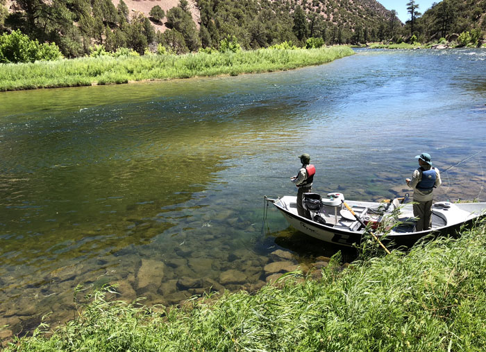 trout-creek4